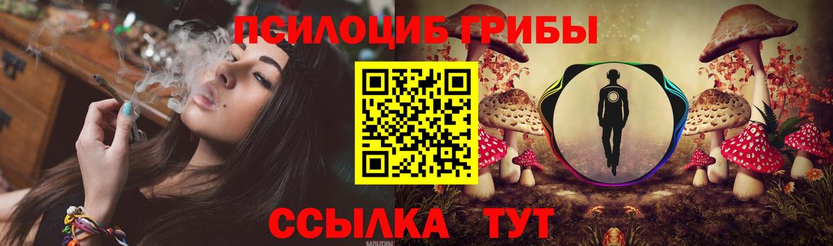 Псилоцибиновые грибы MAGIC MUSHROOMS  Вход с VPN  Свободный  Псилоцибиновые грибы MAGIC MUSHROOMS 